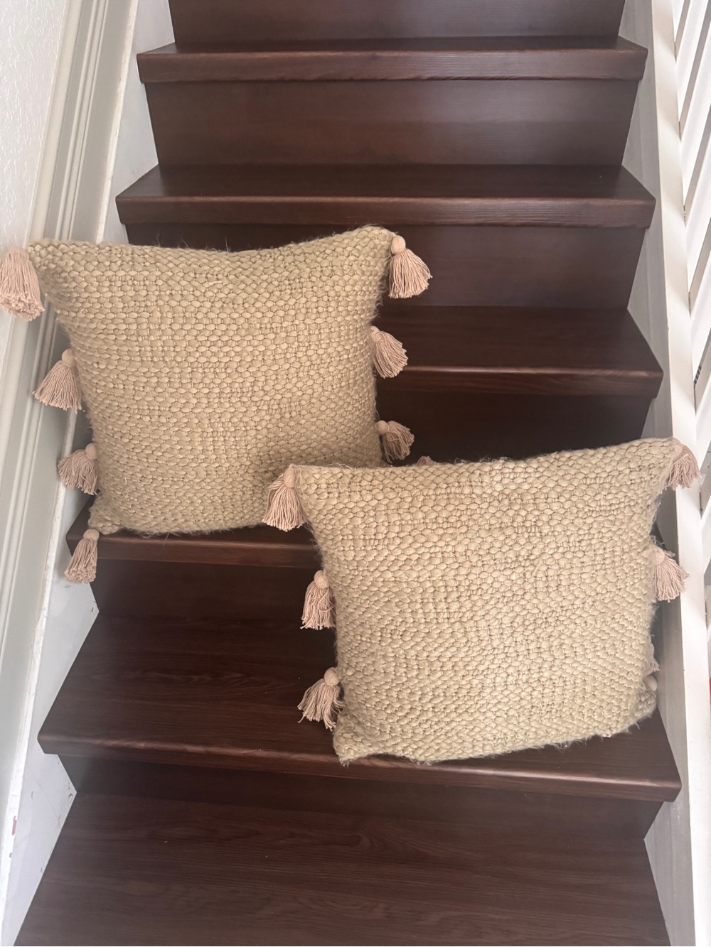 Source Unknown Beige Woven Tassel Accent Pillows - Set of 2